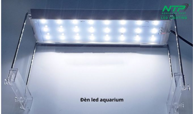 So sánh đèn led aquarium và odyssey: đâu mới là lựa chọn tốt nhất?